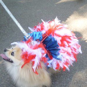 DOG HANDMADE "AMERICANA" DRESS WITH FEATHERS